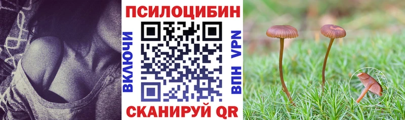 где найти наркотики  Сухой Лог  Псилоцибиновые грибы прущие грибы 